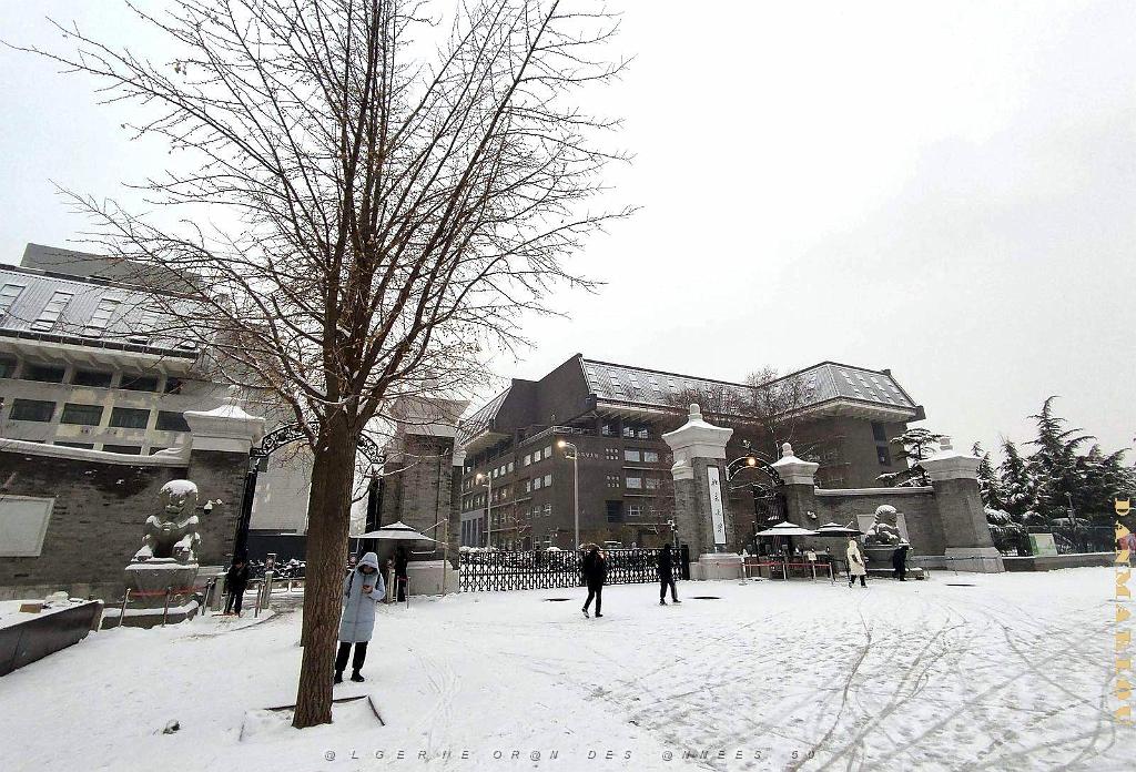 2023 12 PEKIN- UNIVERSITE LANGUES ETRANGERES SOUS LA NEIGE (14).jpg